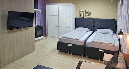 Charming 1-bedroom apartment with AC, WiFi in fabulous Zaječar