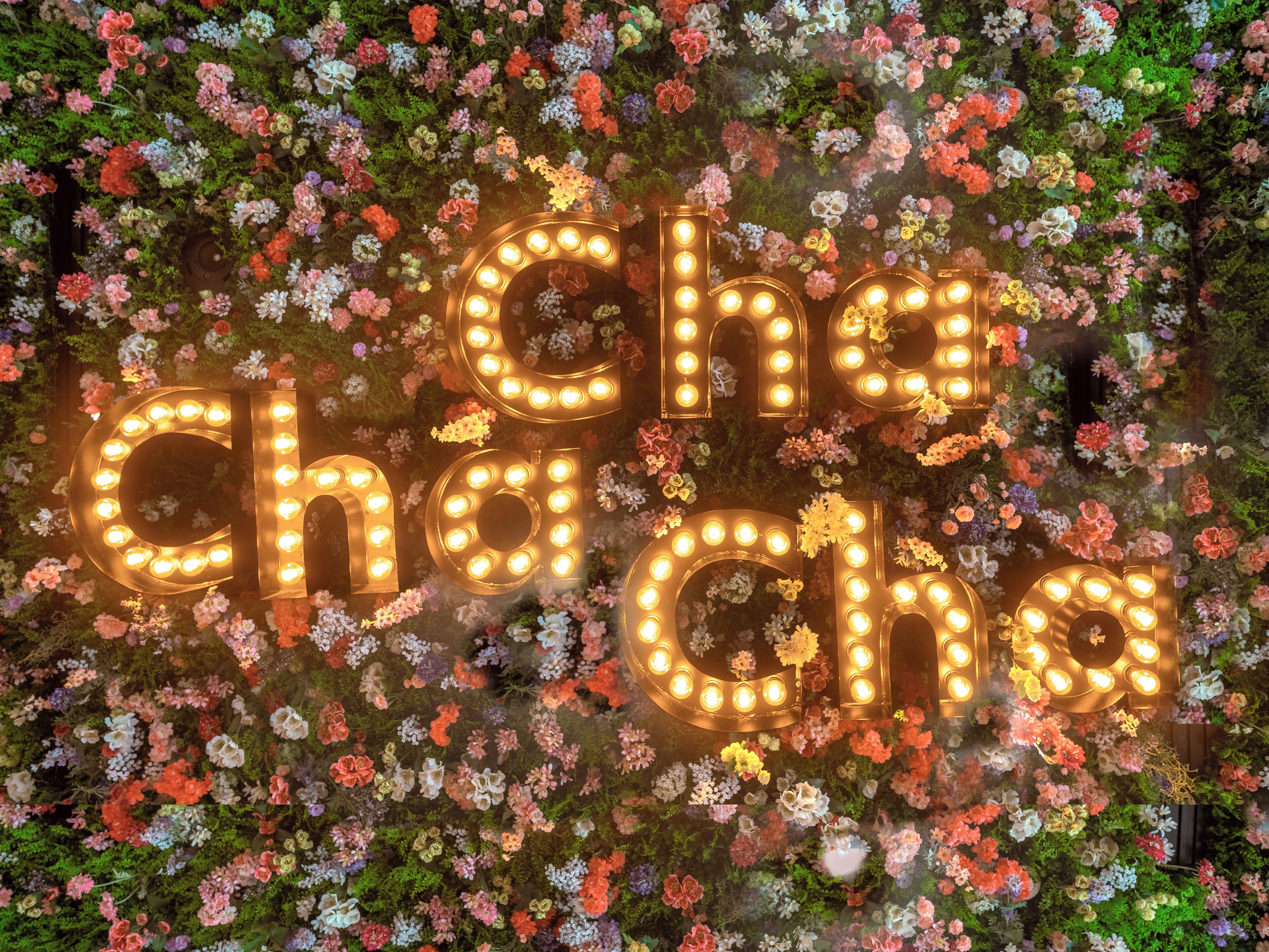 Foto - Chachacha Hôtel