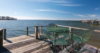 Cottage in Chapin with a view of the Twin Islands
