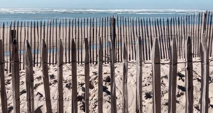 House in the heart of nature, between marshes and ocean