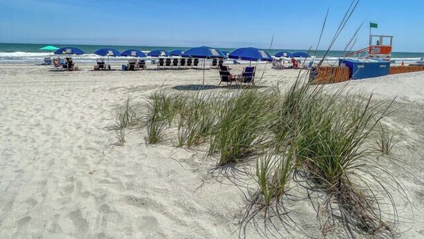 A beach with rows of blue umbrellas and beach chairs, a lifeguard tower, and the ocean in the background. - 10% off 3-7 nights thru Dec. 2BR 2BA oceanVIEW condo Cherry Grove. Peaceful area (North Myrtle Beach)