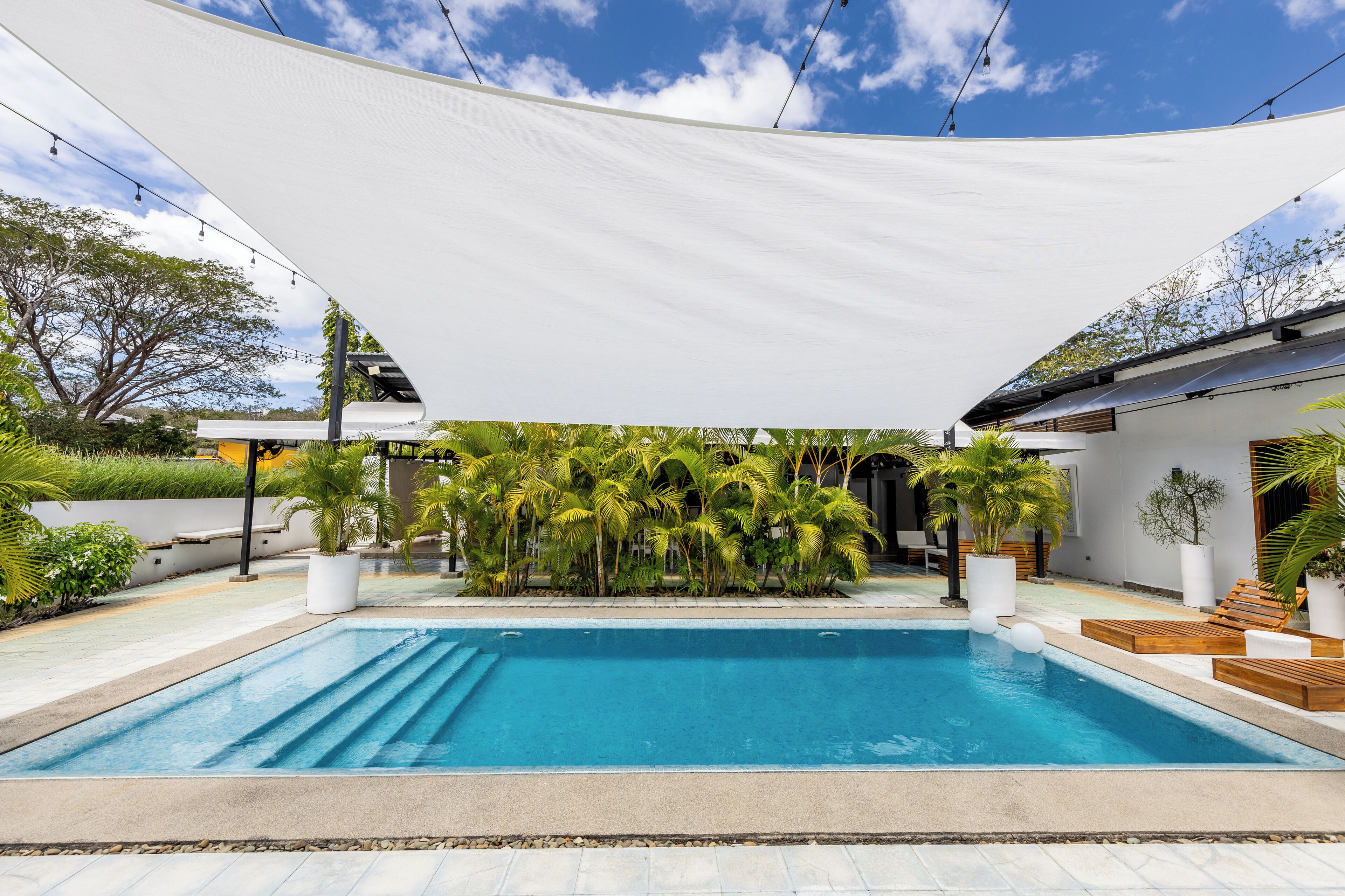 A swimming pool with a white canopy, surrounded by palm trees and potted plants.