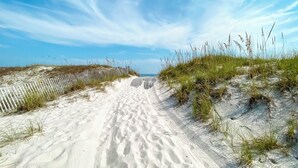 A sandy pathway leading to a beach, surrounded by dunes and grasses.
