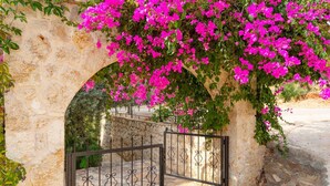 A stone archway with a metal gate, surrounded by vibrant pink bougainvillea flowers.