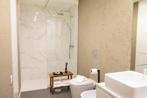 Hair dryer, bidet, towels, soap
