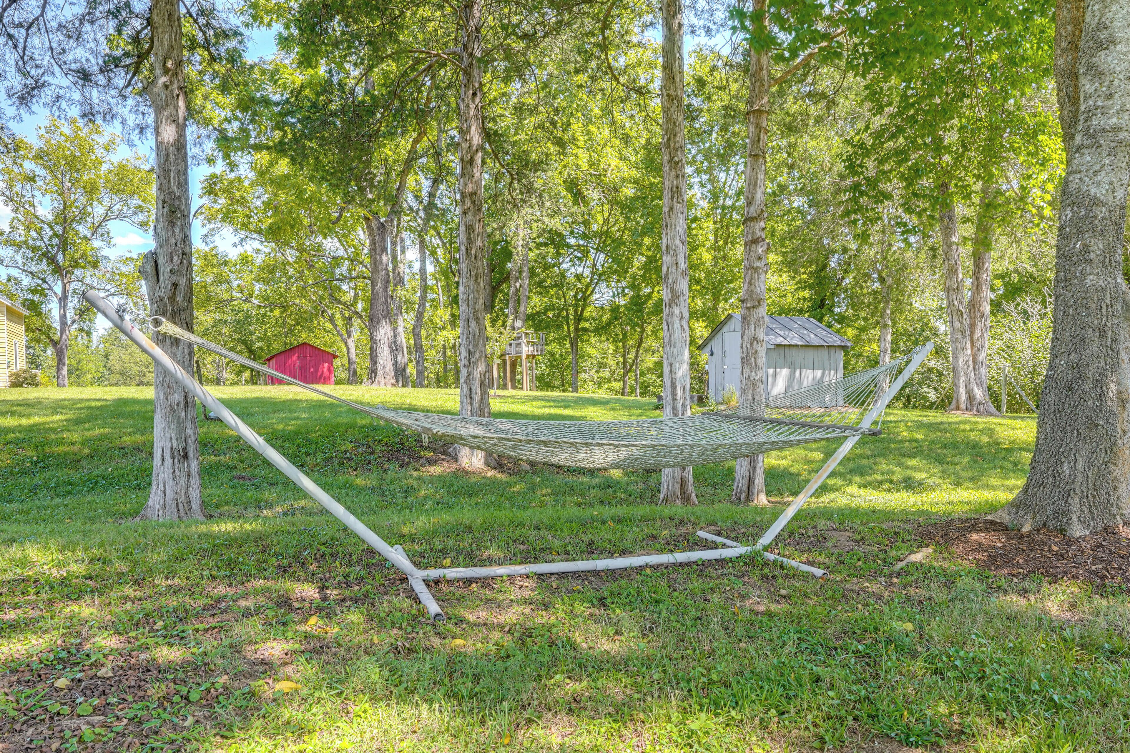 A hammock between trees in a grassy area with a small shed and a red structure in the background.