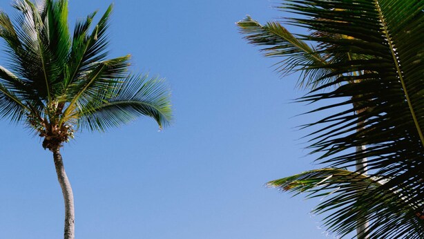 Unclassified image, 1 of 90, button - Luxury 3 Bedroom Apartment at the Beach (Punta Cana)