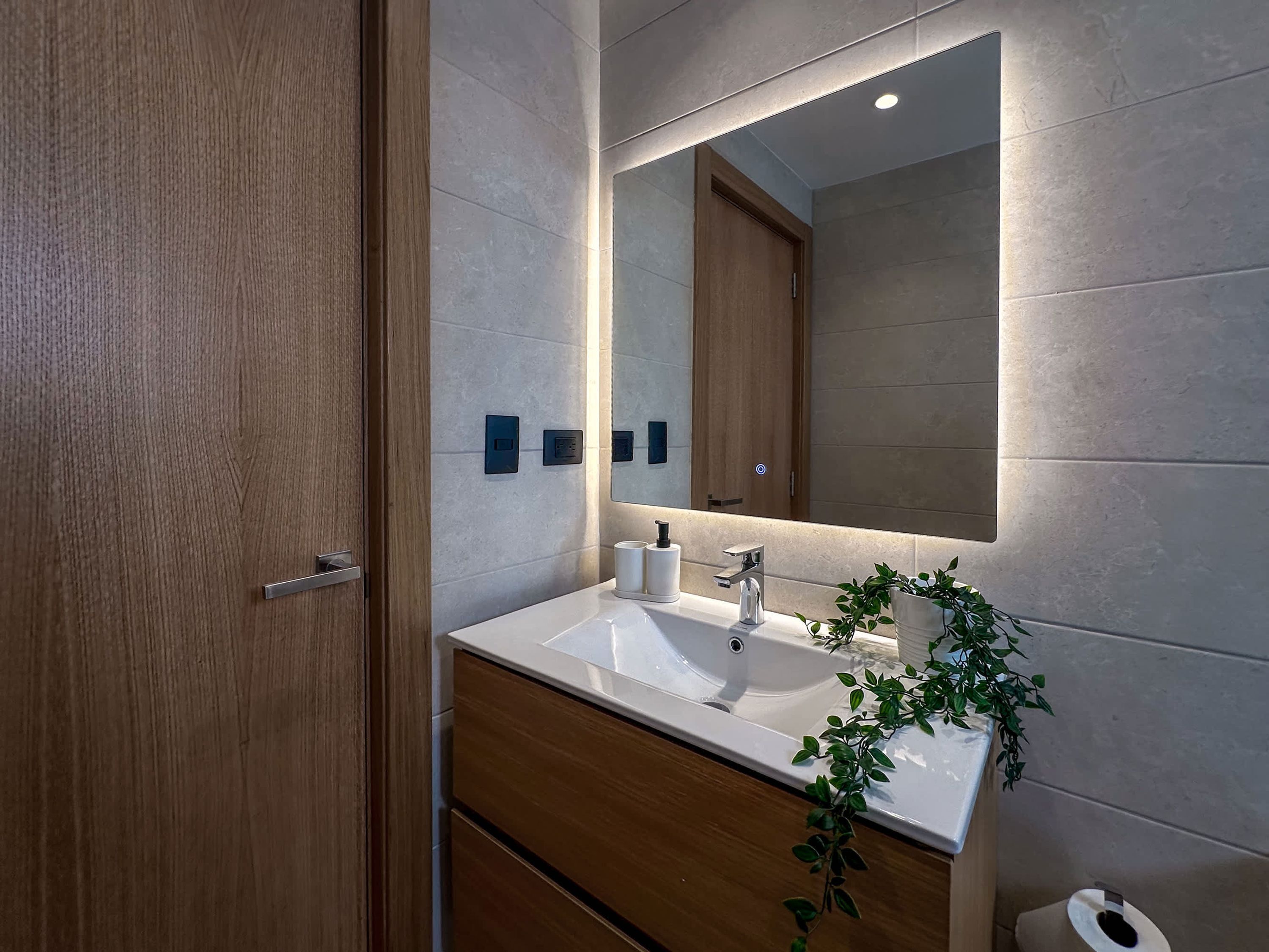 A modern bathroom with a wooden door, a white sink, a mirror, and a potted plant.