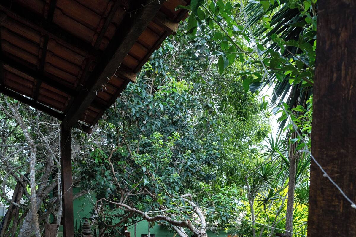 A wooden bench under a covered area with a rustic design, surrounded by lush greenery and a stone pathway.