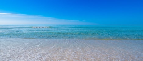 Condo, 1 Bedroom | Beach | On the beach