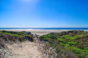 Una playa con un sendero arenoso que lleva al agua, rodeada de vegetación.