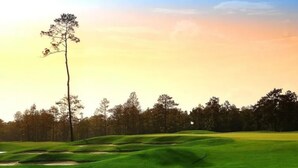 Campo de golf con obstáculo acuático, búnkeres de arena y un mástil con bandera.