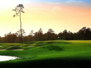 Golf - Peacock Palace Townhome - Near Casinos & Golf - Sleeps 8 (Lake Charles)