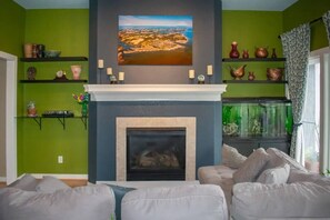 Smart TV, fireplace, books, stereo