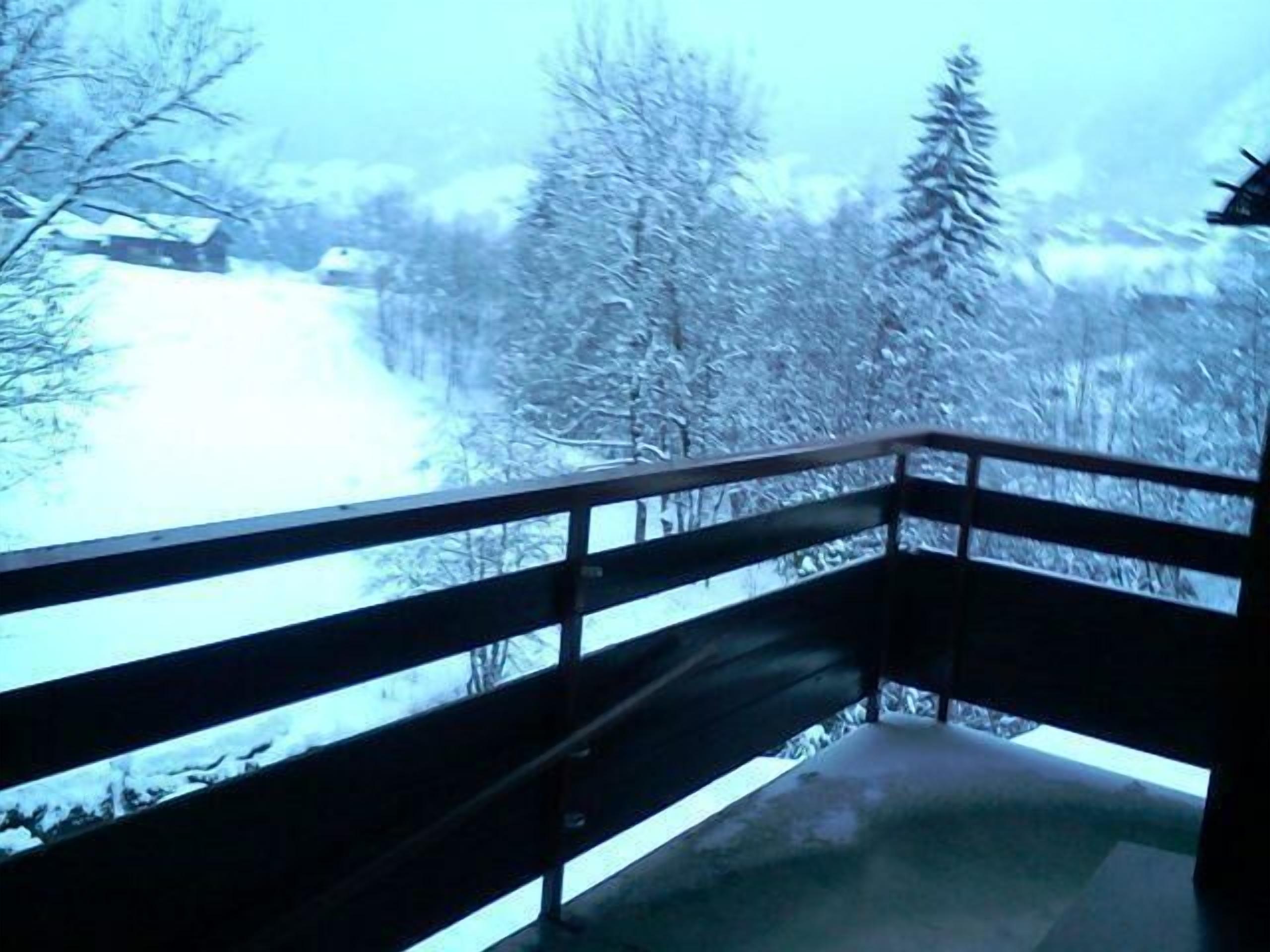 Un balcon donnant sur un paysage enneigé et des arbres.