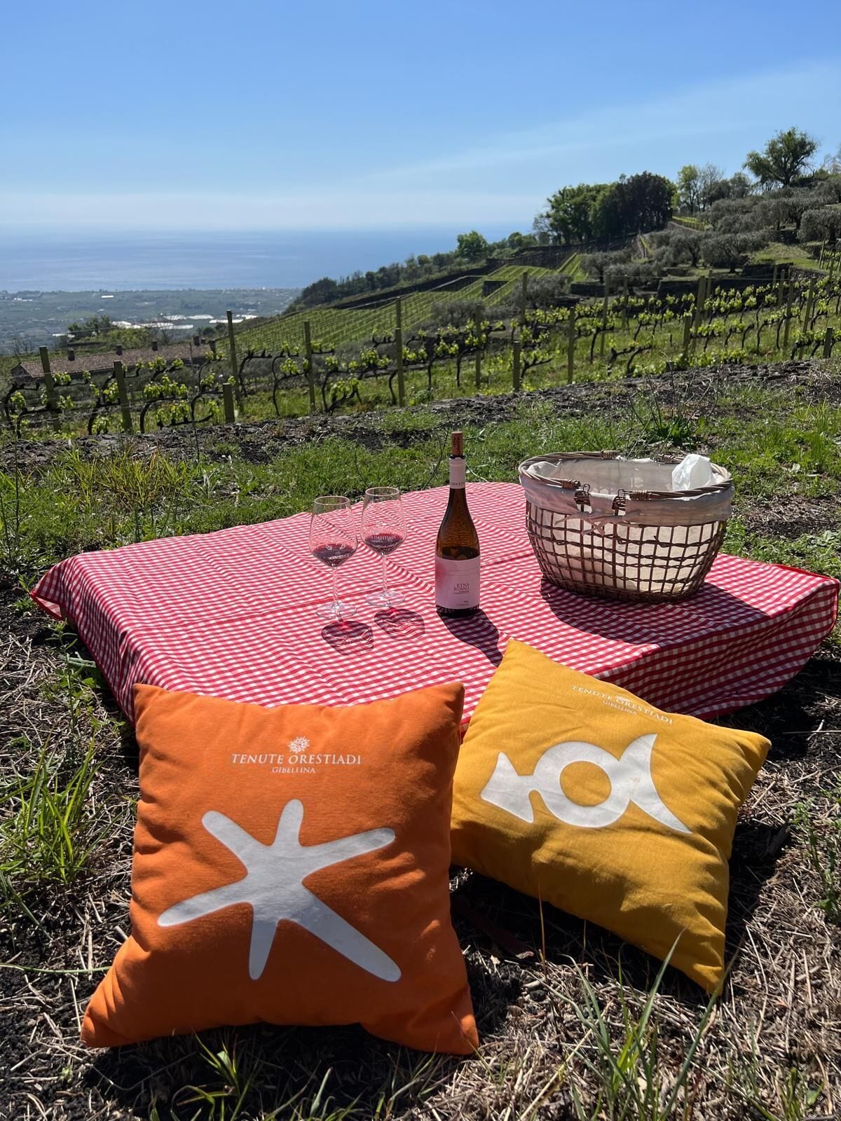 Un montaje para picnic con mantel a cuadros, botella de vino, copas y una cesta en una colina cubierta de hierba con vistas a viñedos.