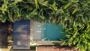 A rooftop pool surrounded by dense tropical foliage. - Casa Heliconias La Fortuna (La Fortuna)