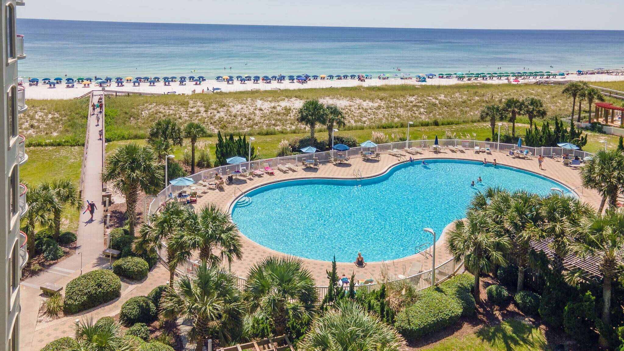 A pool surrounded by palm trees and a beach view.