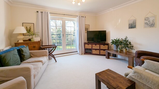 A living room with a sofa, a coffee table, a TV on a wooden stand, a lamp, and a plant.