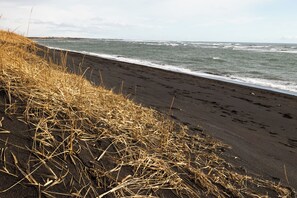 Een strand met donker zand en droog gras op de voorgrond.