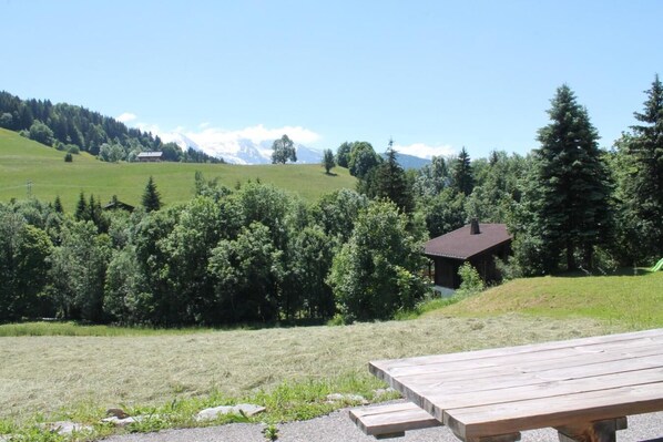 A wooden bench in a grassy area with a small cabin and dense trees in the background. - Wifi, Ground floor, view mountain, terrace, parking, tv, ski locker, 87m², Le Grand Bornand (Le Grand-Bornand)