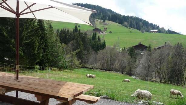 Ein Holztisch mit Picknickatmosphäre, ausgestattet mit einem weißen Sonnenschirm, vor einer ländlichen Landschaft mit weidenden Schafen und Häusern im Hintergrund.