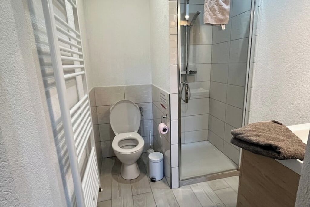 Ein Badezimmer mit Toilette, Dusche und Waschbecken.