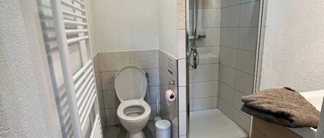 Ein Badezimmer mit Toilette, Dusche und Waschbecken.