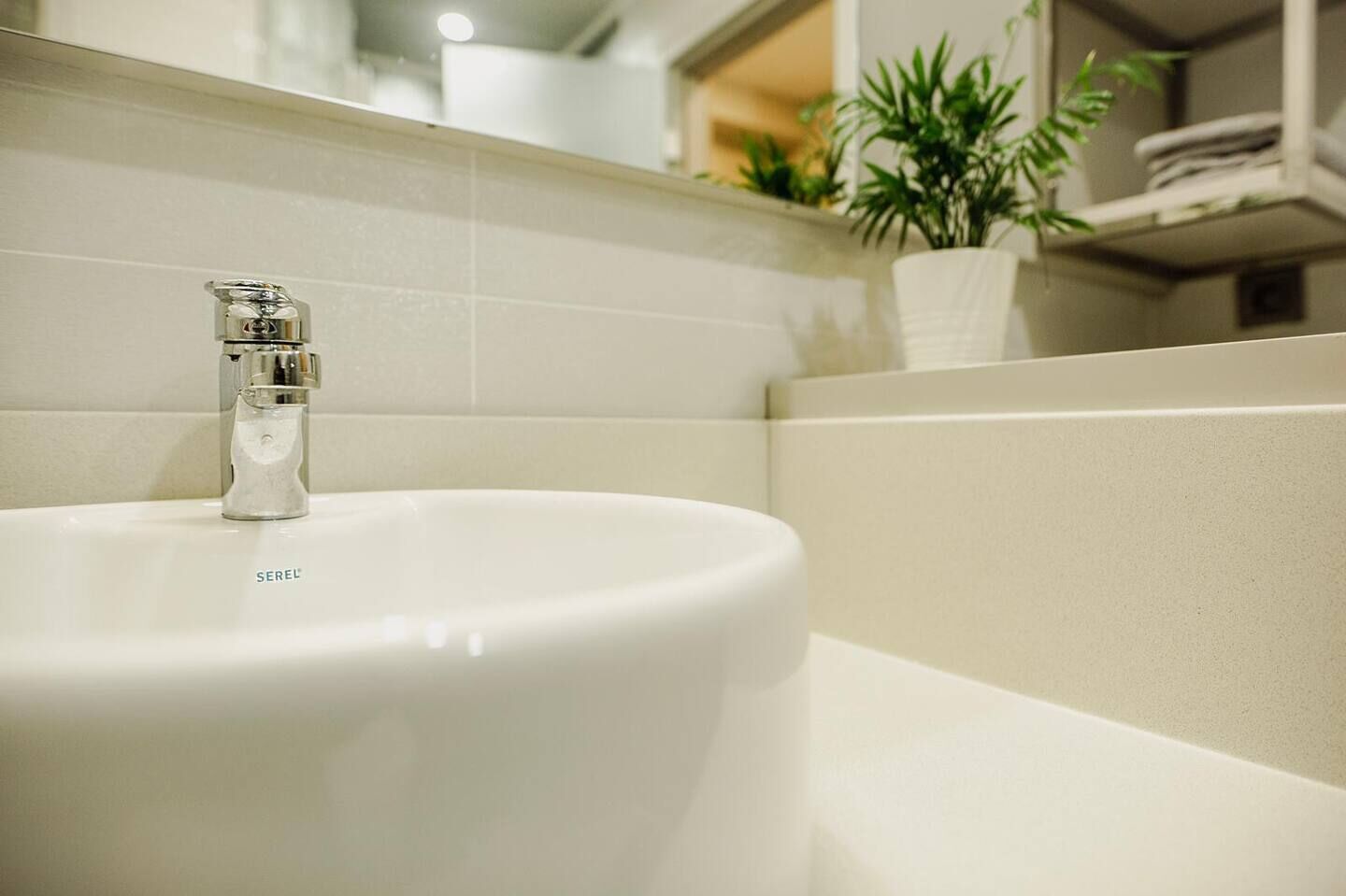 Een badkamer met een witte wasbak, een moderne kraan en een potplant op het aanrecht.