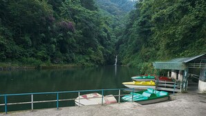 A dock with several colorful boats and a small shelter by a calm river surrounded by dense greenery. - Home in the lap of nature 
In a peaceful location..... Darjeeling (WB)