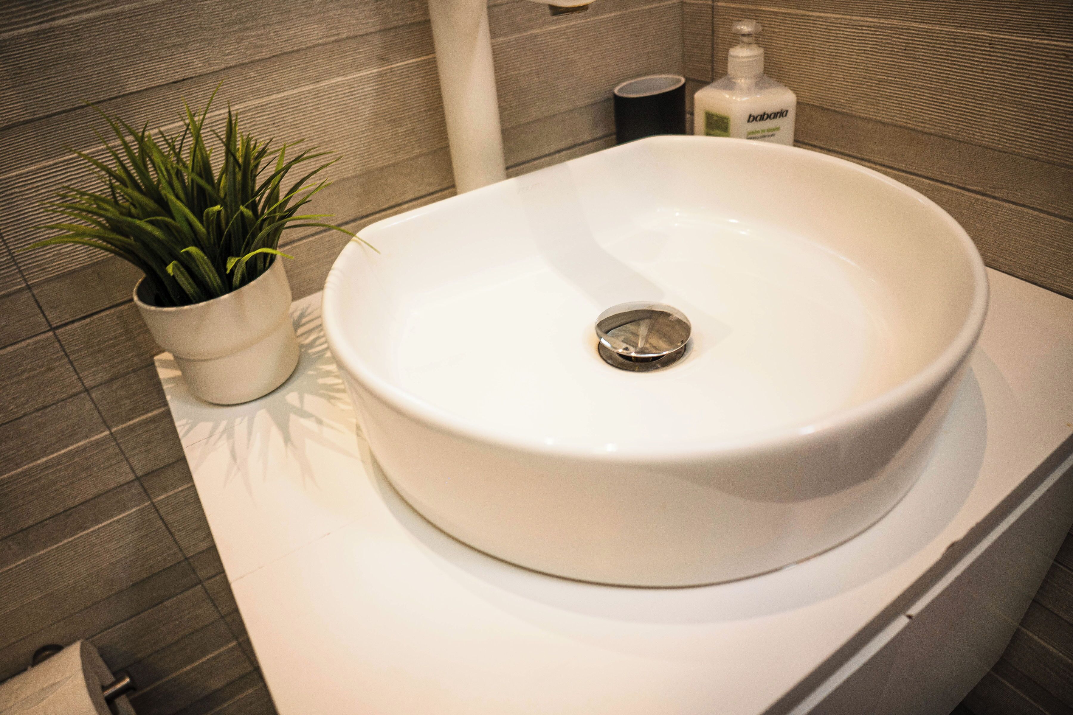 A bathroom with a white sink, a potted plant, and a bottle of hand soap.