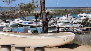 Un puerto deportivo con barcos amarrados, una valla de madera y un gran árbol en primer plano.
