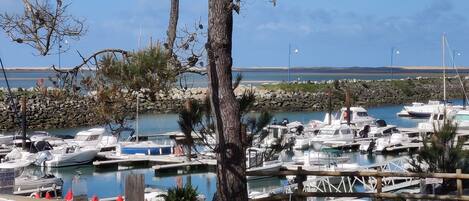 A marina with boats docked, a wooden fence, and a large tree in the foreground.