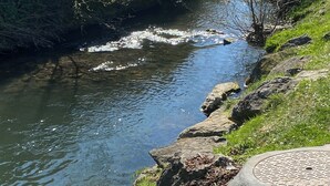 Ein Fluss mit klarem Wasser, umgeben von Felsen und Gras.