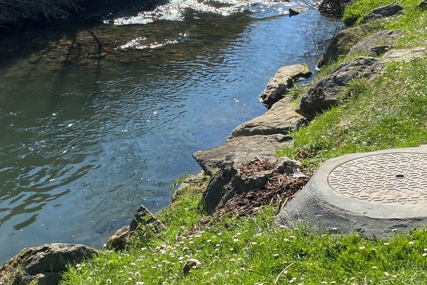 Àrea exterior de l'allotjament