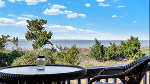 Terrace/patio - The Big Tybreezy (Tybee Island)