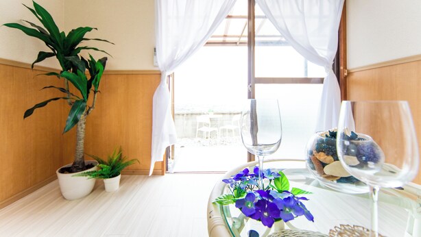 Ein Zimmer mit einem Blumentopf, einem Glastisch mit einem Weinglas und einer Schale Kieselsteinen, sowie einem Fenster mit weißen Vorhängen.