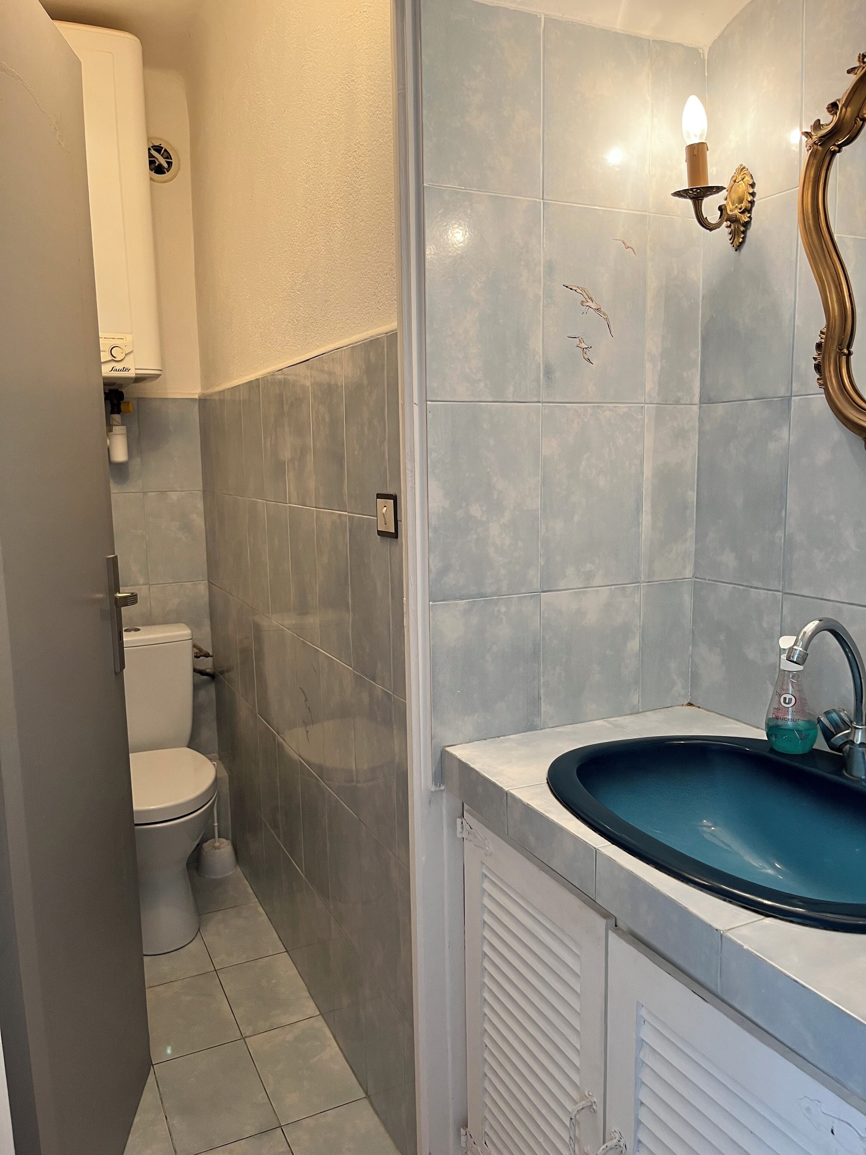 Een badkamer met toilet, een wastafel met blauwe kom en een wandlamp.