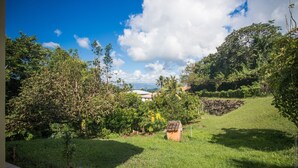 A lush green garden with a small wooden structure, surrounded by dense foliage and a clear blue sky.