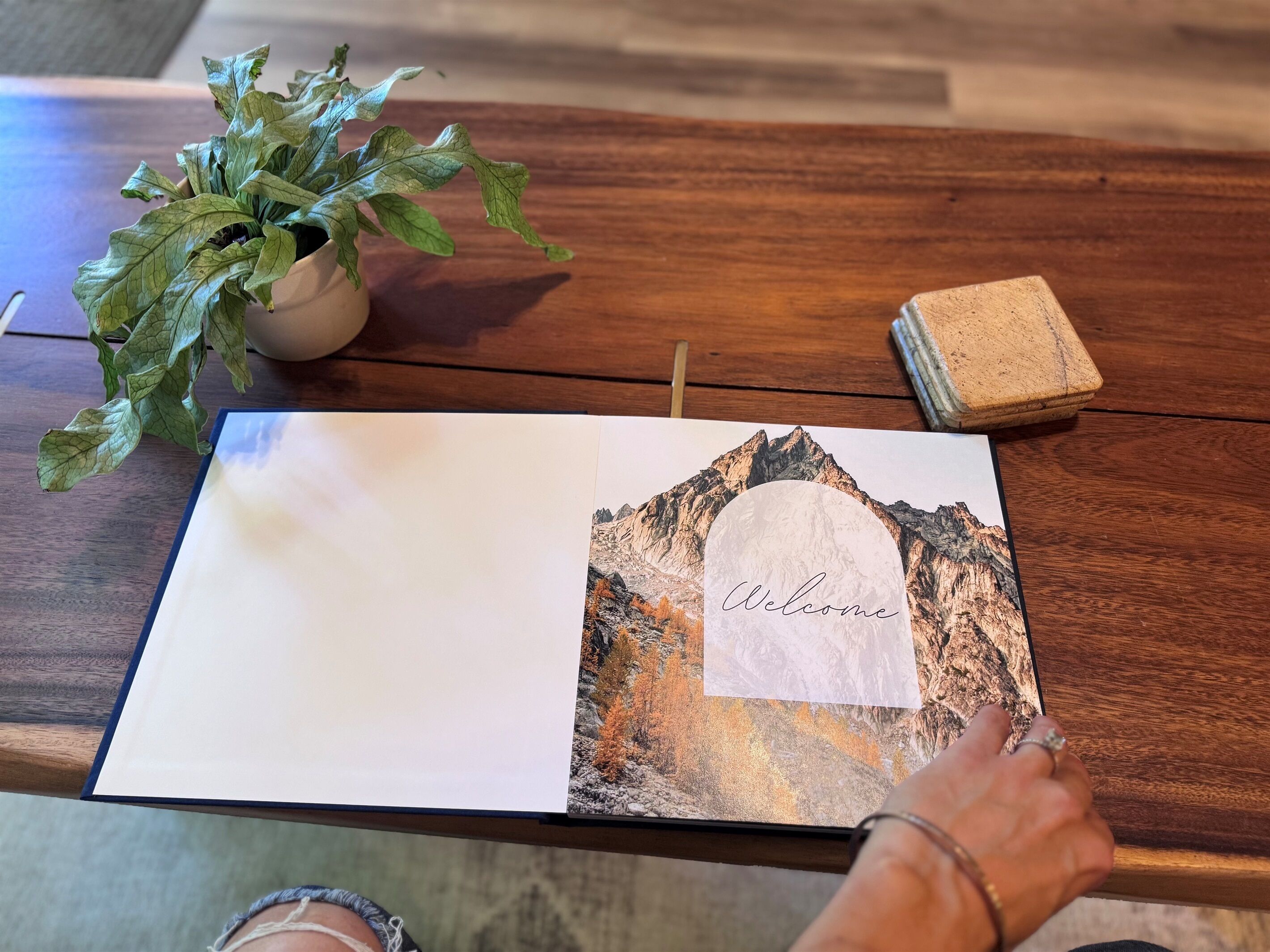 Une table avec un livre, une plante en pot et un petit récipient.