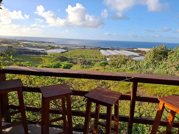 Property grounds - C1 Family Cabin (Tejina)