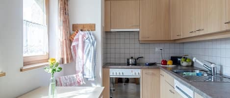 Fridge, microwave, stovetop, dishwasher