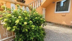 A building with a staircase, a window, and a hedge with yellow flowers. - Villa Anja Apartments (Mostar)