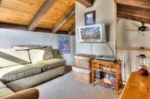 TV, fireplace, DVD player