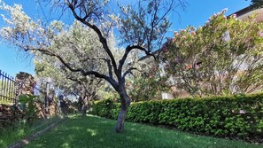 Biệt thự | 6 phòng ngủ 