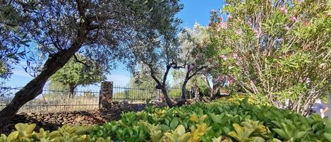 Villa | 6 Schlafzimmer