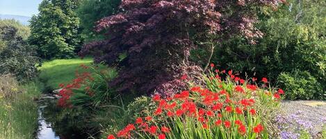 Terrein van de accommodatie