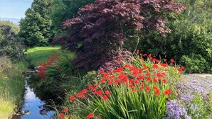 A serene garden with a small stream, lush greenery, and vibrant red and purple flowers. - Pet-friendly luxury garden apartment surrounded by woodland and fields. (Clashmore)