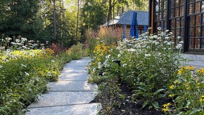 A stone pathway leading to a building with large windows, surrounded by diverse vegetation and a forested backdrop. - Haliburton Post House (Minden)