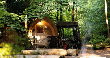 Cosy Bluebelle Glamping pod in a secluded woodland clearing